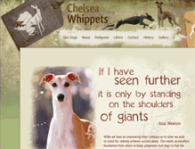Tablet Screenshot of chelseawhippets.com